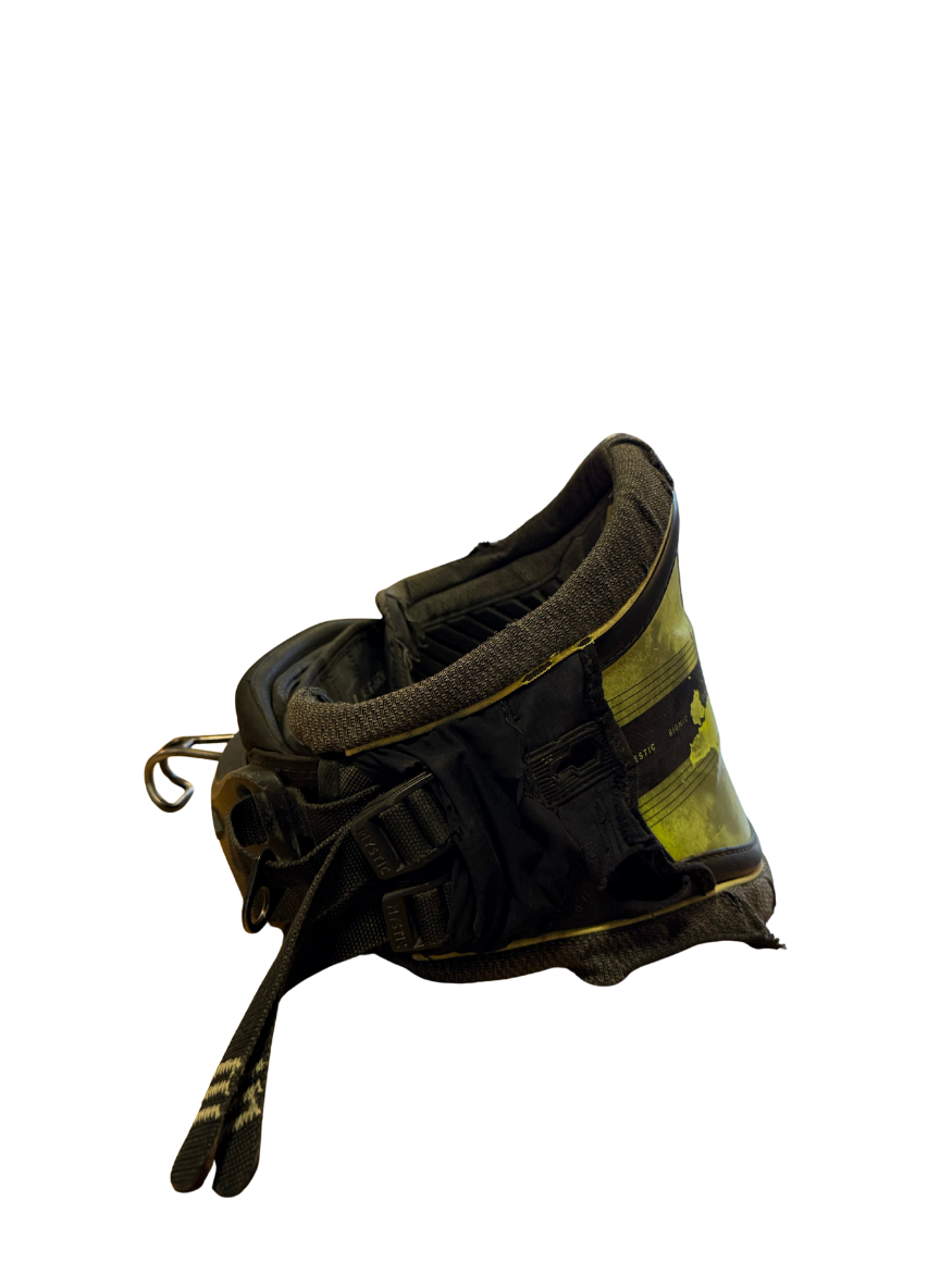 ARNES MAJESTIC BIONIC CORE L USADO